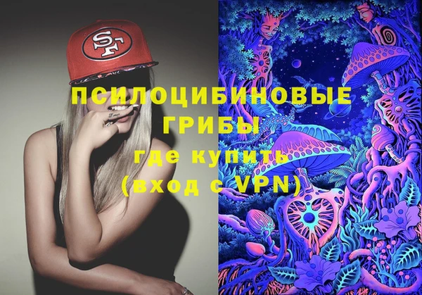 ALPHA PVP Киренск
