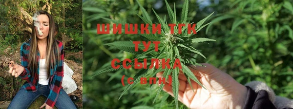 2c-b Кинешма