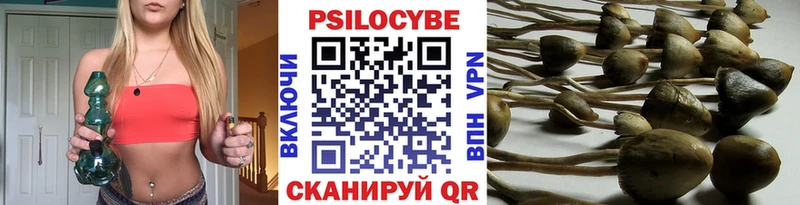 Купить  Сердобск  Псилоцибиновые грибы Psilocybe 